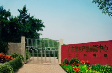 DG视讯集团研发基地