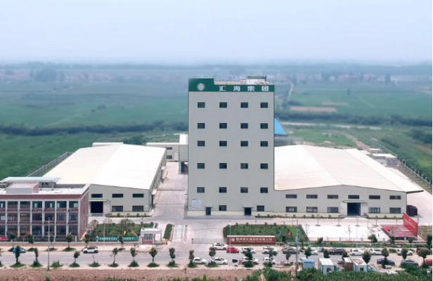 荆州市DG视讯饲料有限公司